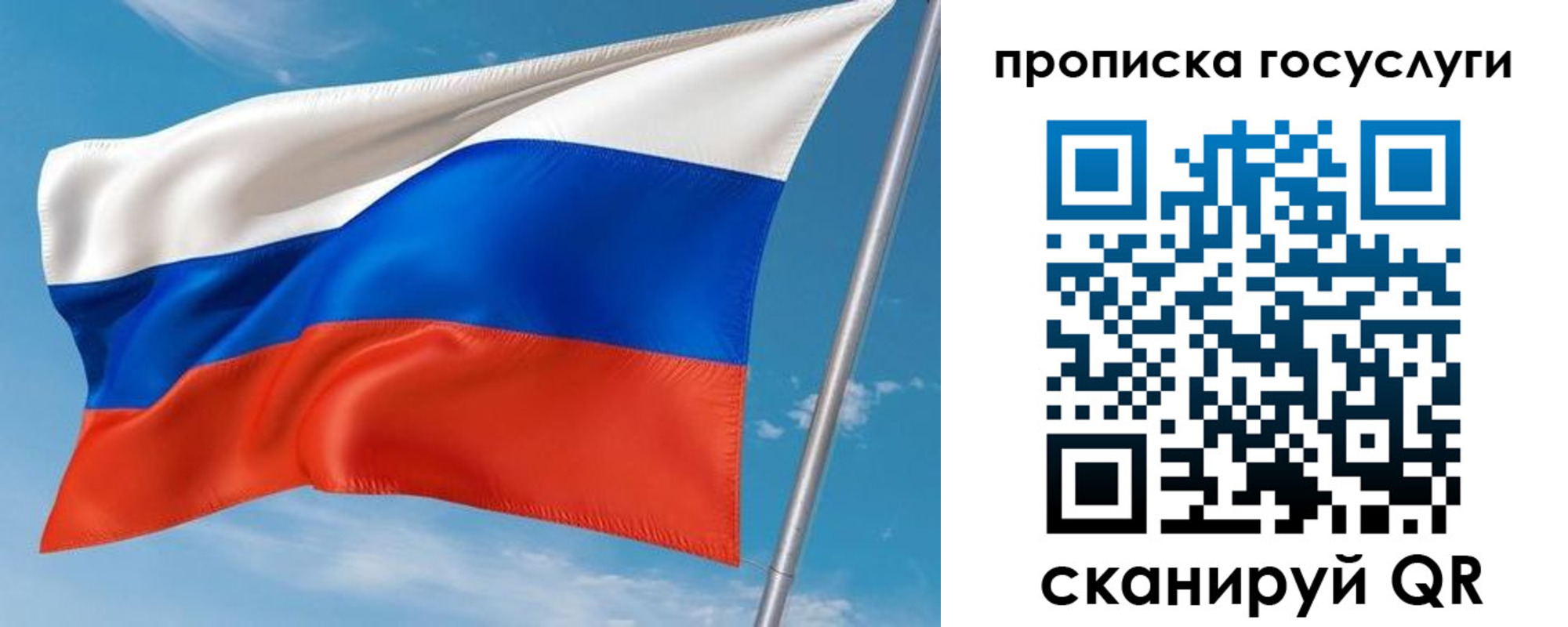 прописка в Вольске